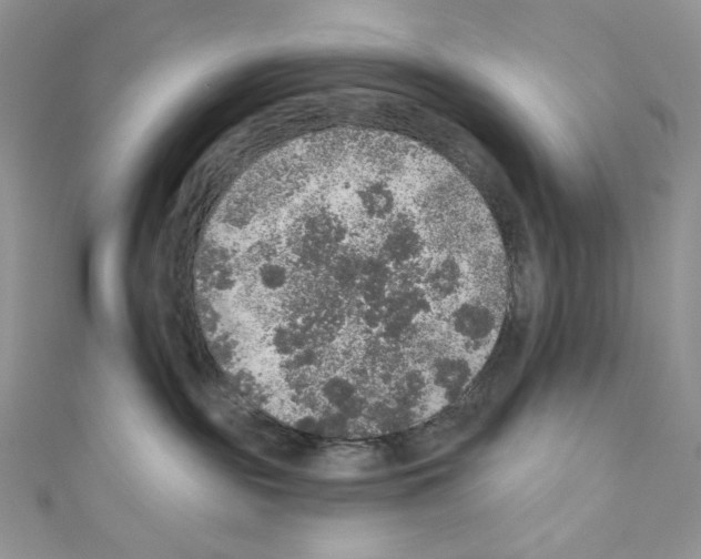 X0000110760189200907271151