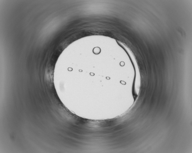 X0000110760190200907271151