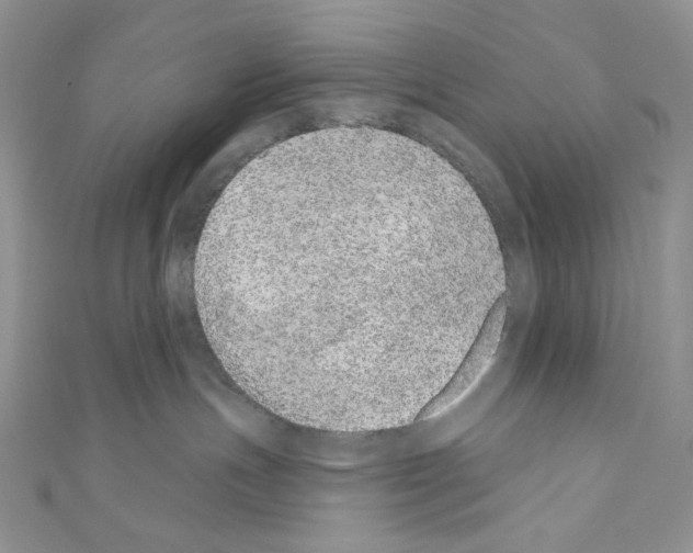 X0000110760191200907271151