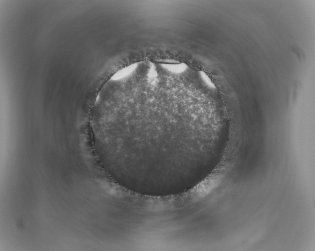 X0000110760192200907271151