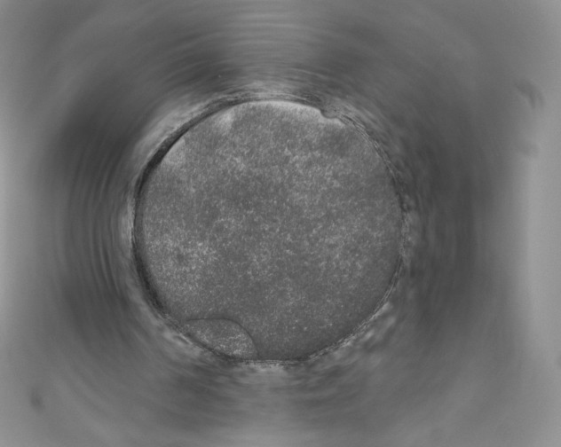 X0000110760194200907271150