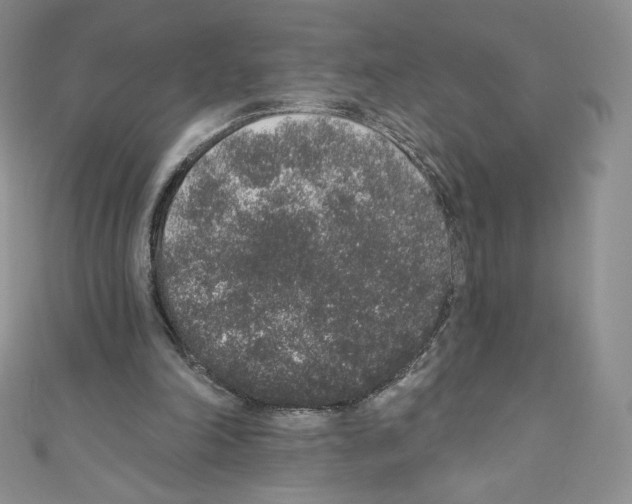 X0000110760198200907271150