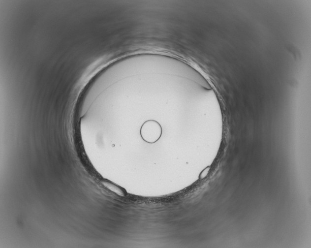 X0000110760199200907271150