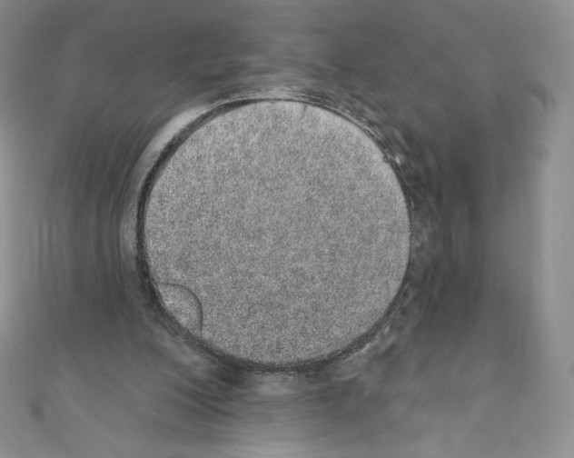 X0000110760200200907271150