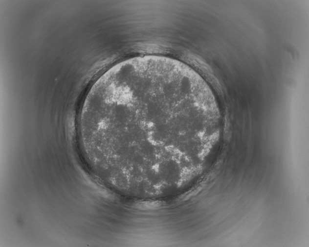 X0000110760202200907271150