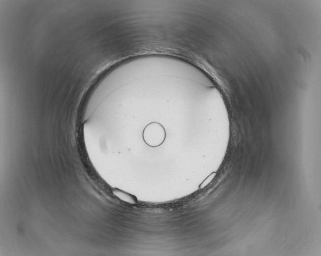 X0000110760203200907271150