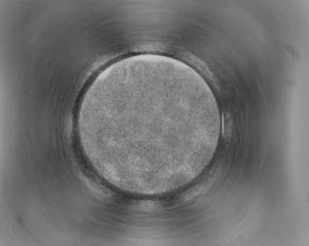 X0000110760204200907271150
