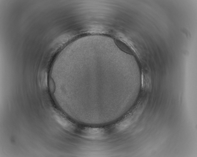 X0000110760205200907271150
