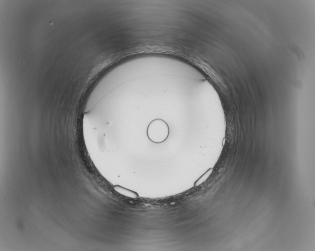 X0000110760207200907271150