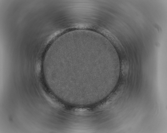 X0000110760208200907271150