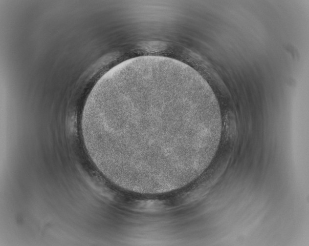 X0000110760212200907271150
