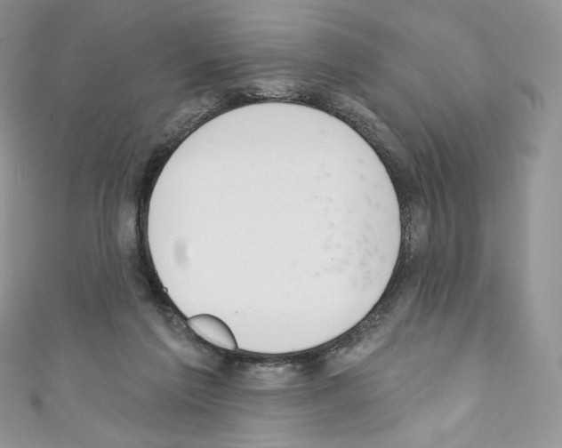 X0000110760213200907271150