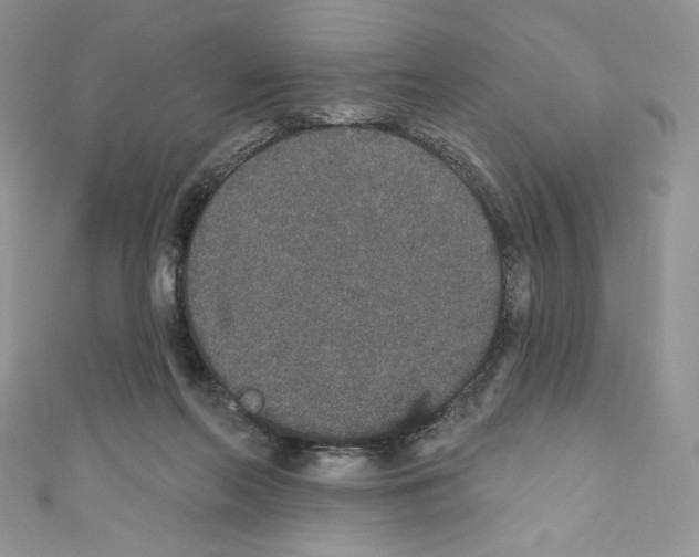 X0000110760214200907271150