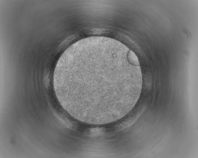 X0000110760216200907271150