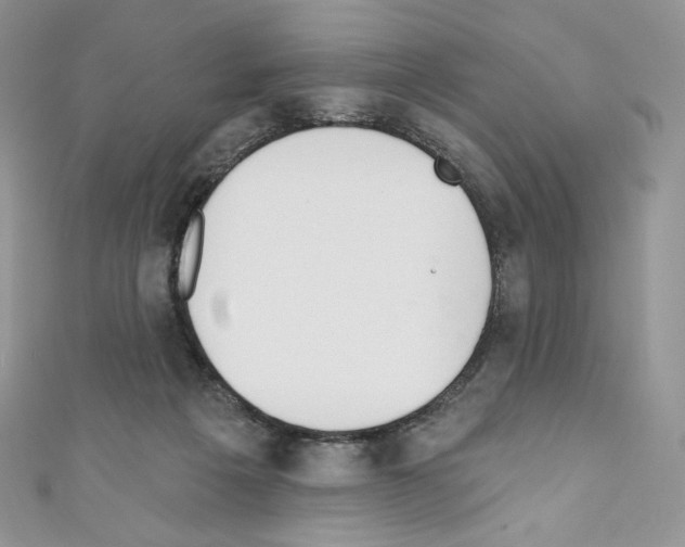 X0000110760217200907271150
