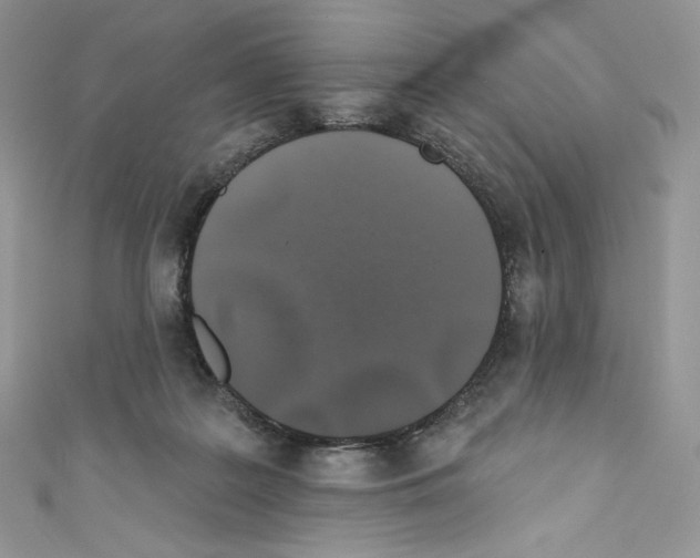 X0000110760219200907271150
