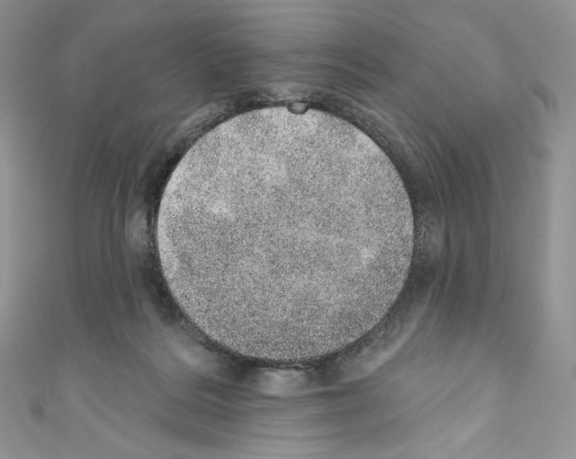 X0000110760220200907271150