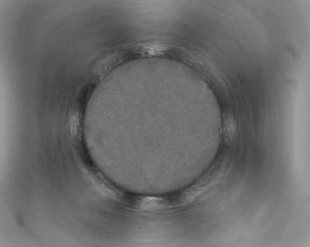 X0000110760222200907271150