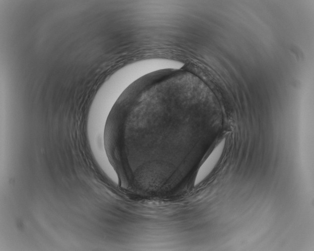 X0000110760223200907271150
