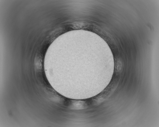 X0000110760226200907271150