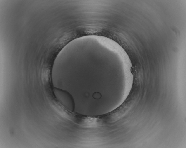 X0000110760227200907271150