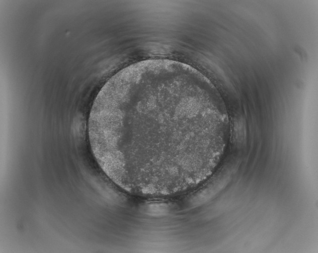 X0000110760228200907271150