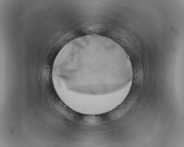 X0000110760231200907271150