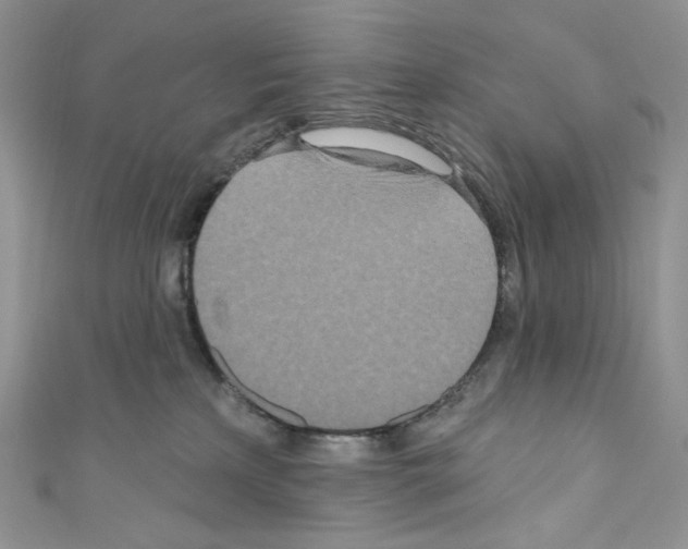 X0000110760233200907271150