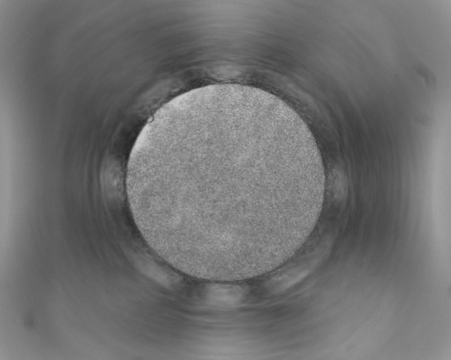 X0000110760234200907271150