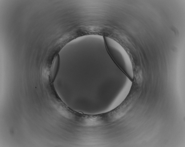 X0000110760235200907271150