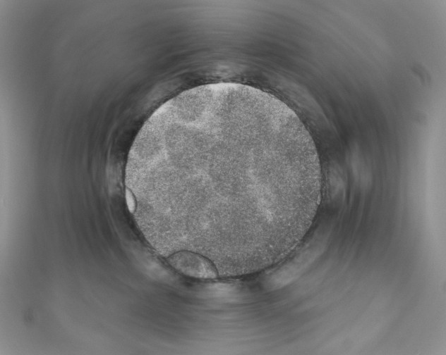 X0000110760236200907271150