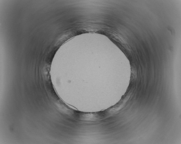 X0000110760237200907271150