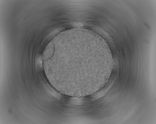 X0000110760238200907271150