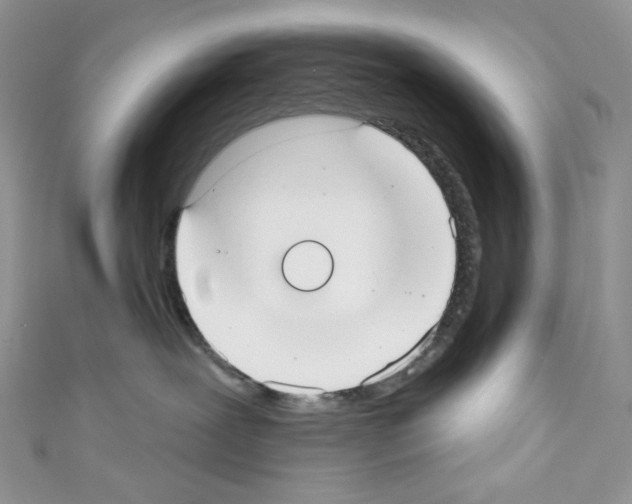X0000110760239200907271150