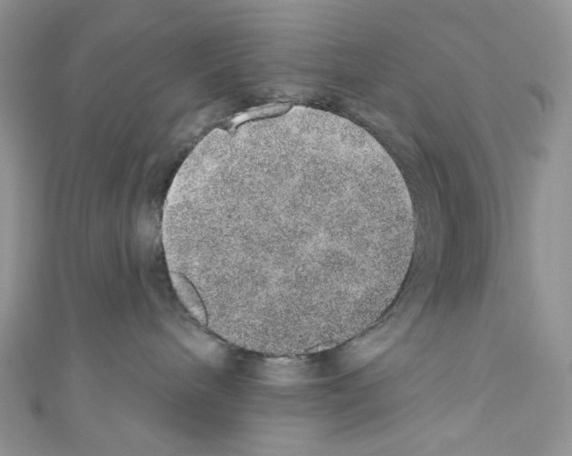 X0000110760240200907271150