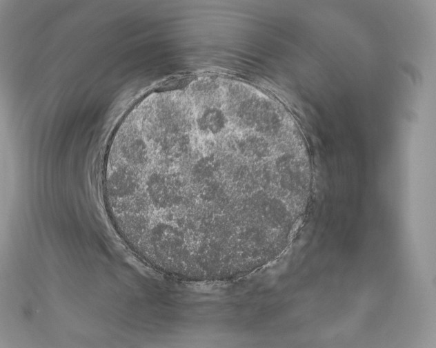 X0000110760241200907271149