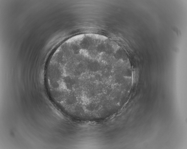 X0000110760243200907271149