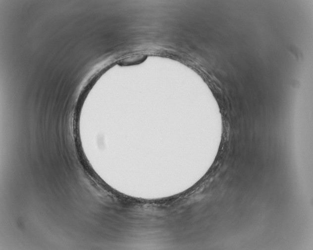 X0000110760244200907271149