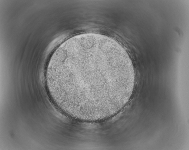 X0000110760245200907271149