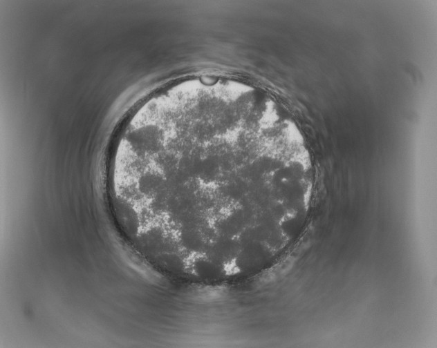 X0000110760247200907271149