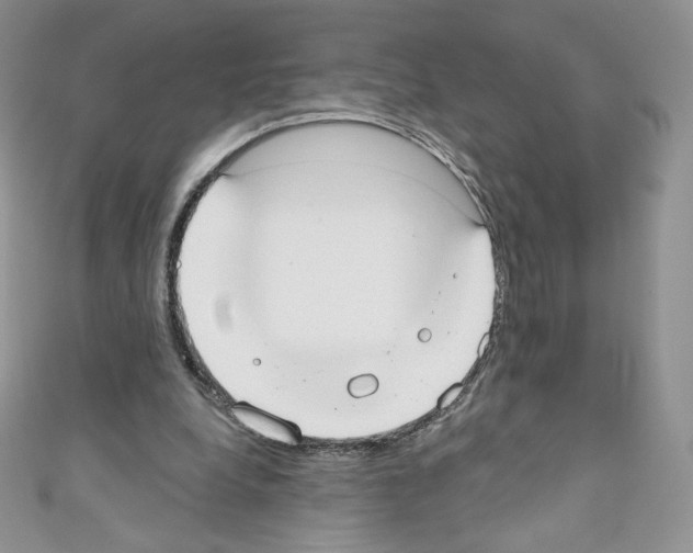X0000110760248200907271149
