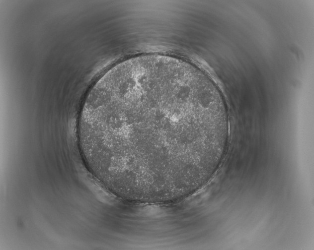 X0000110760249200907271149