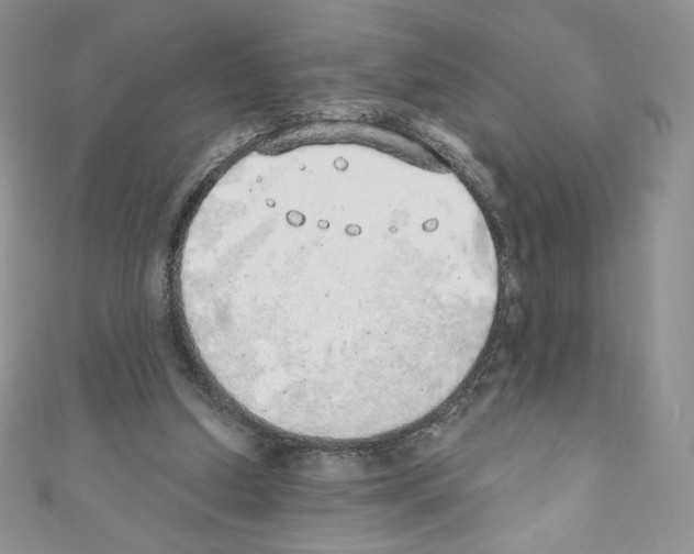 X0000110760250200907271149