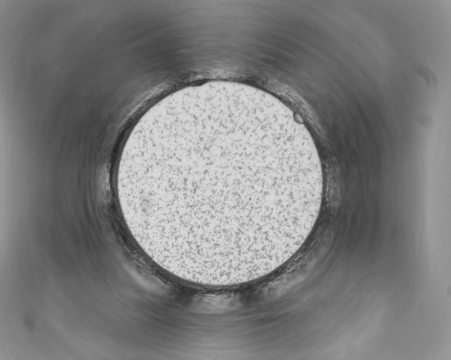 X0000110760251200907271149