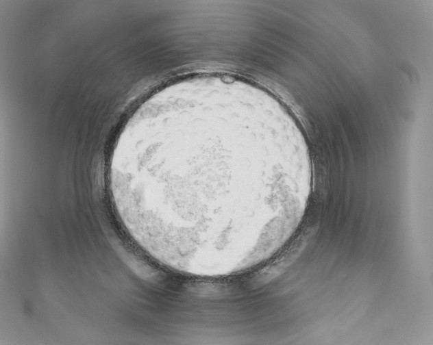 X0000110760253200907271149