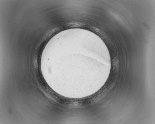 X0000110760254200907271149