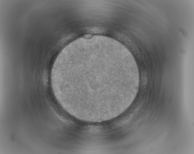X0000110760255200907271149