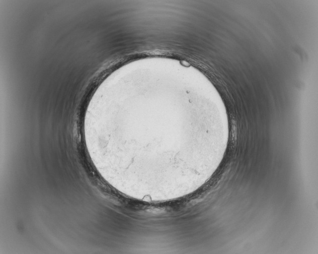X0000110760256200907271149