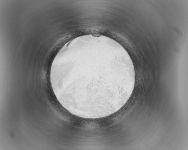 X0000110760258200907271150