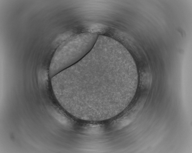 X0000110760260200907271150